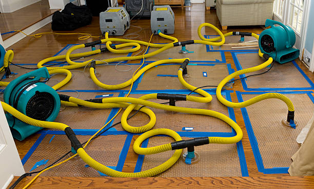 Professional Storm Water Damage Restoration technician working in Chatham, NJ